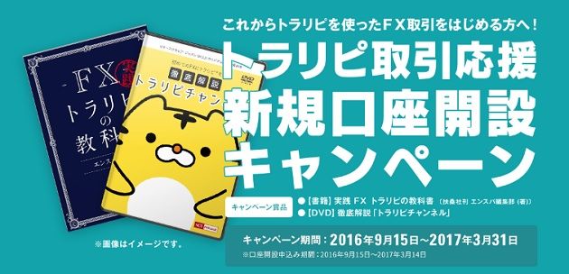 m2j-campaign