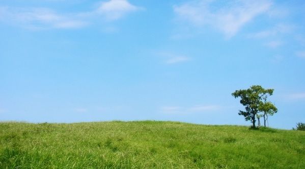 風景