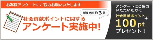 invast-questionnaire